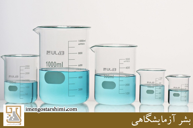 بشر آزمایشگاهی